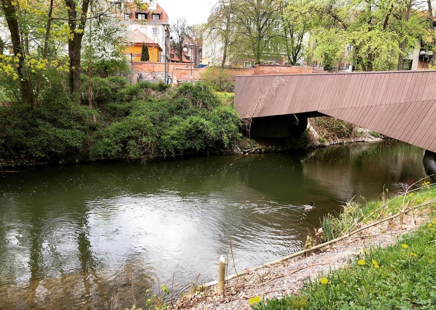 Apartament Parkowy By Rent4You Olsztyn  Kültér fotó
